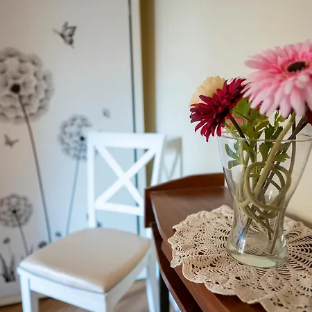 Olimpia House - Gianicolense Roma